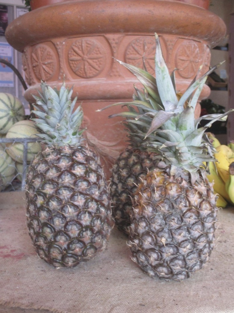 ANANAS CAYENNE LISSE ORIGINE TOGO SOS FLEURS ET LEGUMES PRECY SOUS